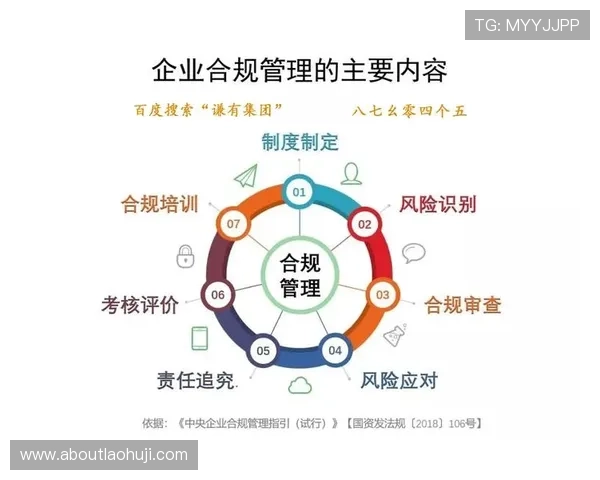 电子PG在电子支付行业中的合规性管理与风险控制策略